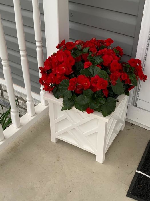 A white rectangular lattice planter box holding a vibrant display of red flowers, set on a porch with a white railing and grey siding.