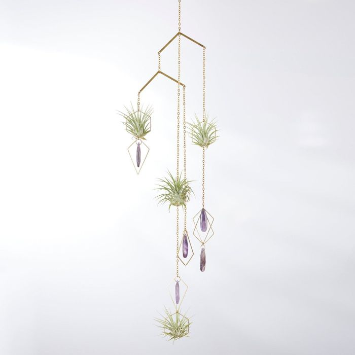 Air plants suspended within a geometric gold frame, adorned with purple crystals, for a touch of modern home decor.