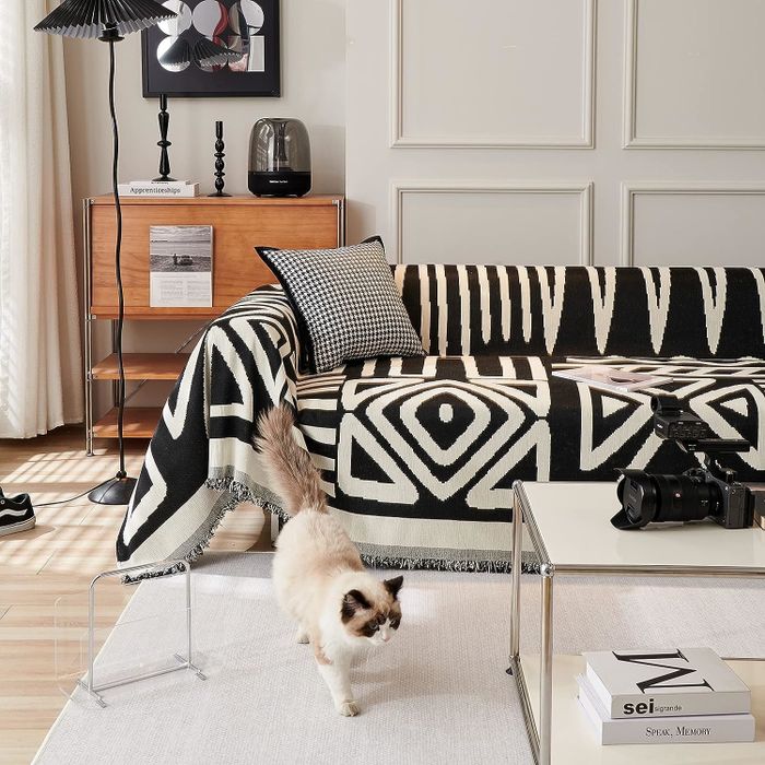 A cat strolls past a fashionable sofa adorned with a patterned throw, set in a trendy living room