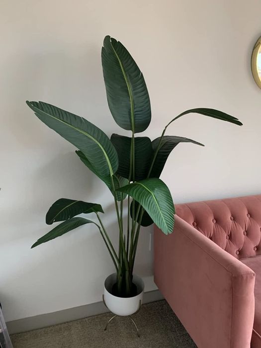 A reviewer's faux bird of paradise plant is displayed in their living room