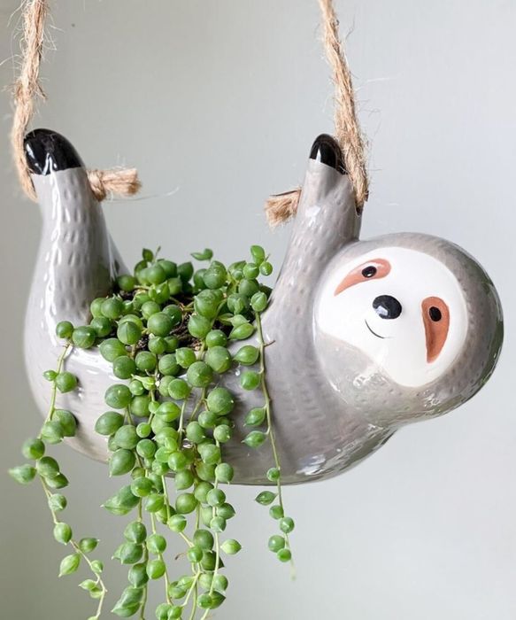 A ceramic sloth-shaped hanging planter with a trailing green plant, perfect for home decor and gardening aficionados.
