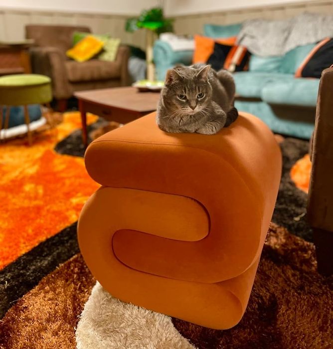 A grey cat lounging on an orange cushioned bench in a cozy room decorated with various artworks and throw pillows