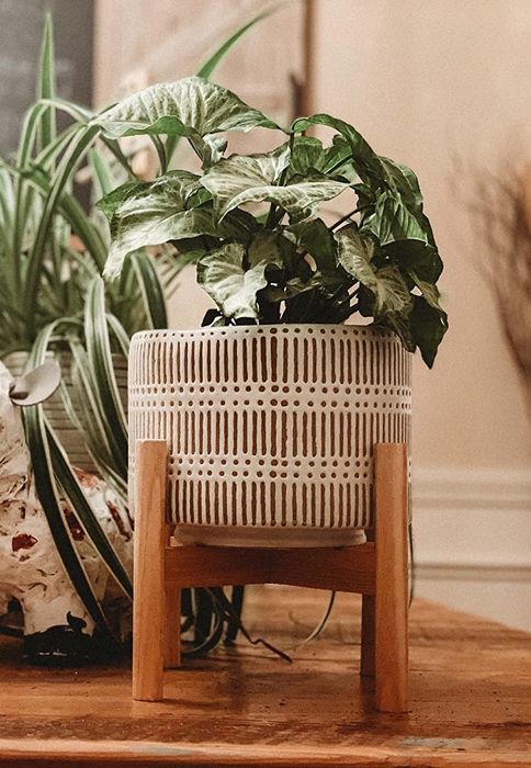 A wooden stand with a patterned pot holding a plant.