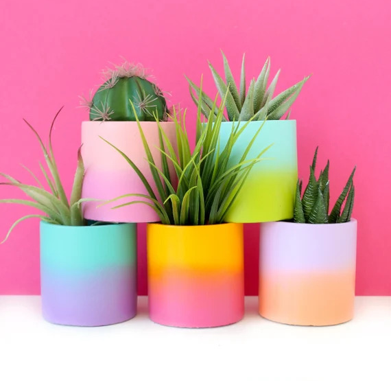 Five vibrant planters featuring beautiful ombre patterns that will bring life to any space.