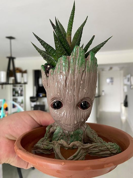 reviewer holding up Baby Groot planter with succulent in a tray