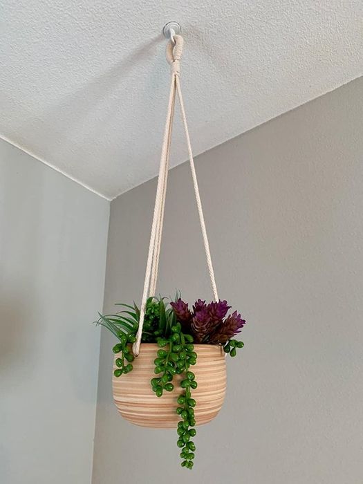 Reviewer's planter hangs from the ceiling, filled with vibrant succulents