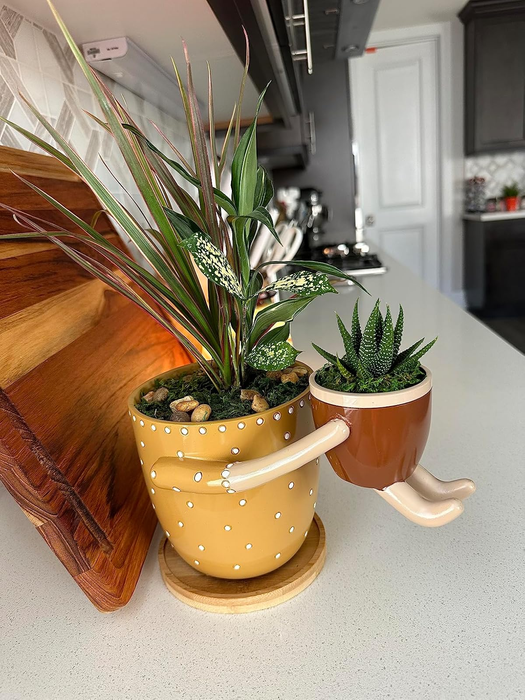 A pair of playful planters sitting on a kitchen counter; one adorned with polka dots and holding a plant, with a smaller planter attached that features little legs.