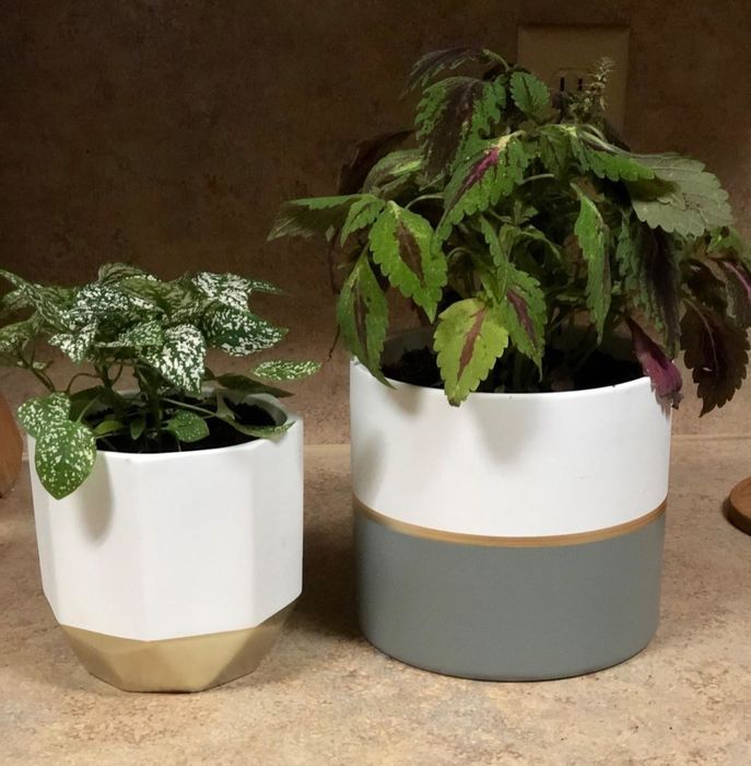 The reviewer’s two planters, one in white and gold, and the other in white, gold, and gray, each holds a plant.