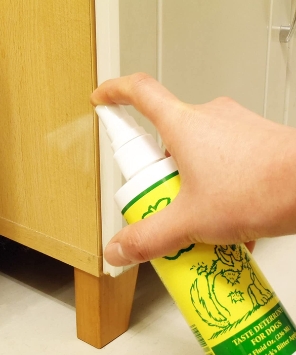 A model spraying the furniture with the chew deterrent