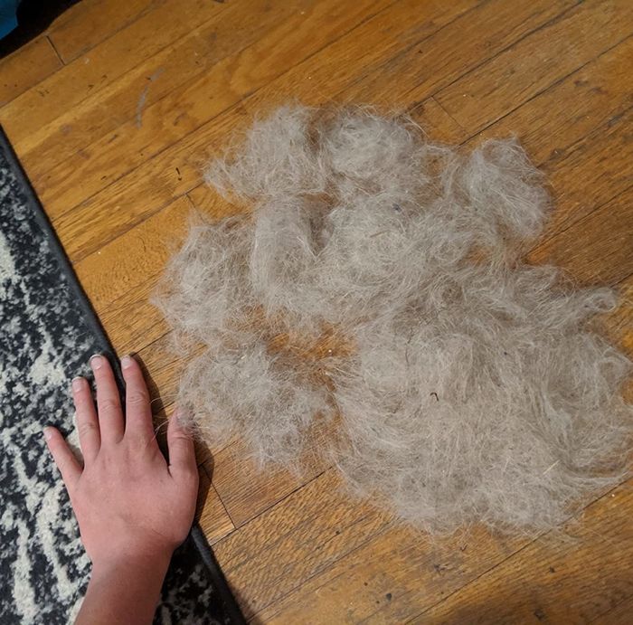 A reviewer standing next to an overwhelming pile of fur, demonstrating the tool's effectiveness.