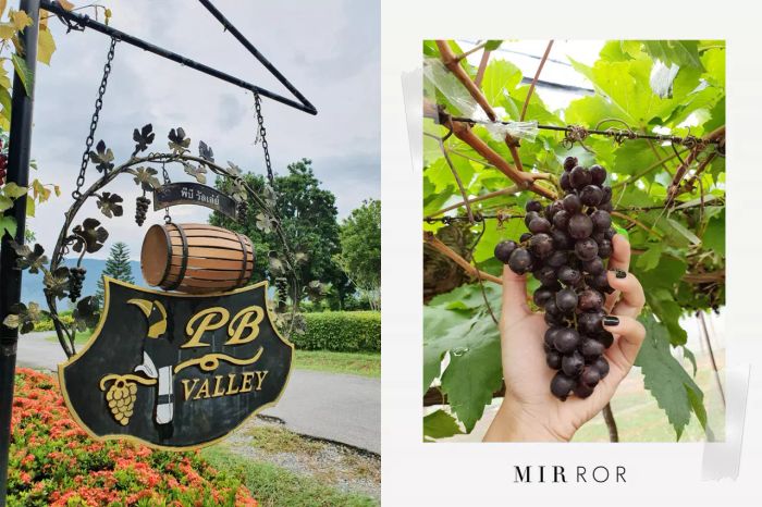 5 สถานที่ท่องเที่ยวในเมืองย่าโมที่ควรเช็กอินสักครั้ง