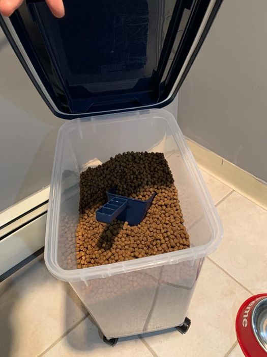 A reviewer displaying the food inside a large storage bin