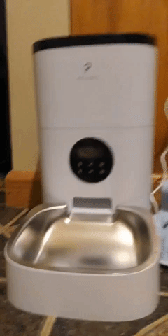 The automatic cat feeder dispensing food directly into a bowl for your furry friend.