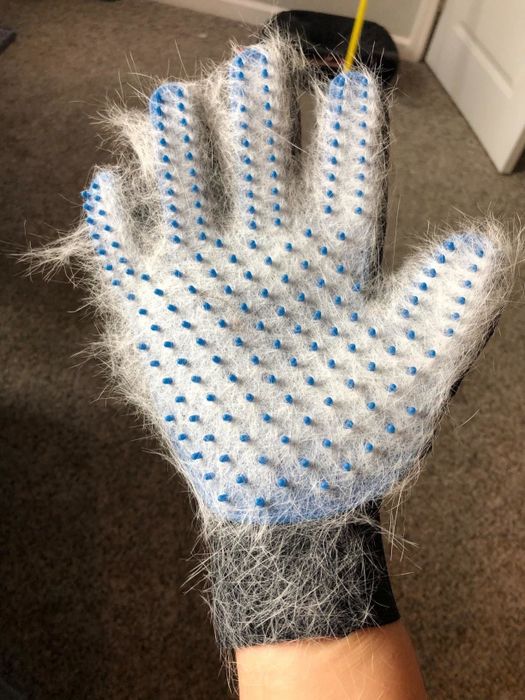 A reviewer is holding a blue glove covered in soft white fur.