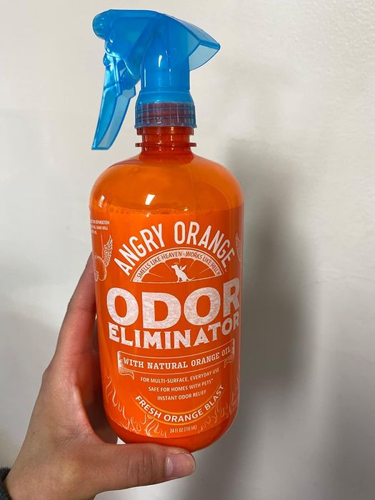 A reviewer holding up the spray bottle.