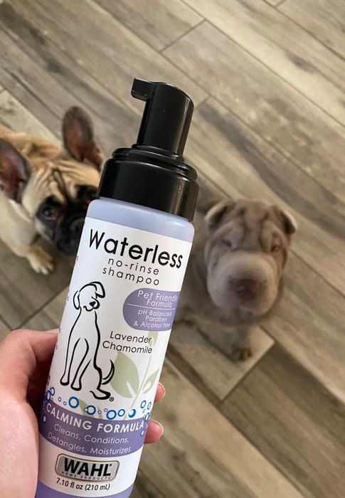 The bottle of shampoo with the reviewer's dogs behind it