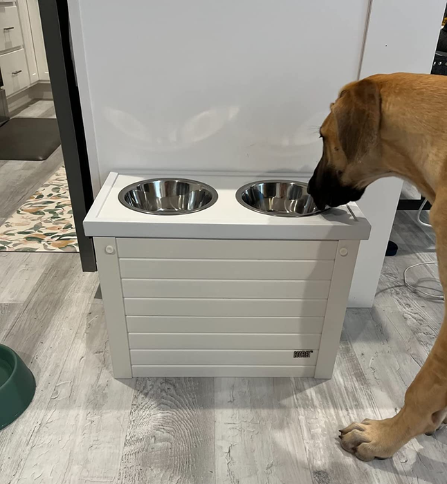 A reviewer's dog licking the food bowls