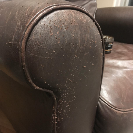 A reviewer's 'before' image of a leather armchair with numerous scratch marks on the leather arm.