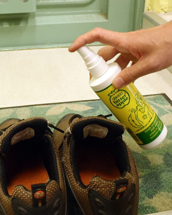 A model demonstrating the spray in use