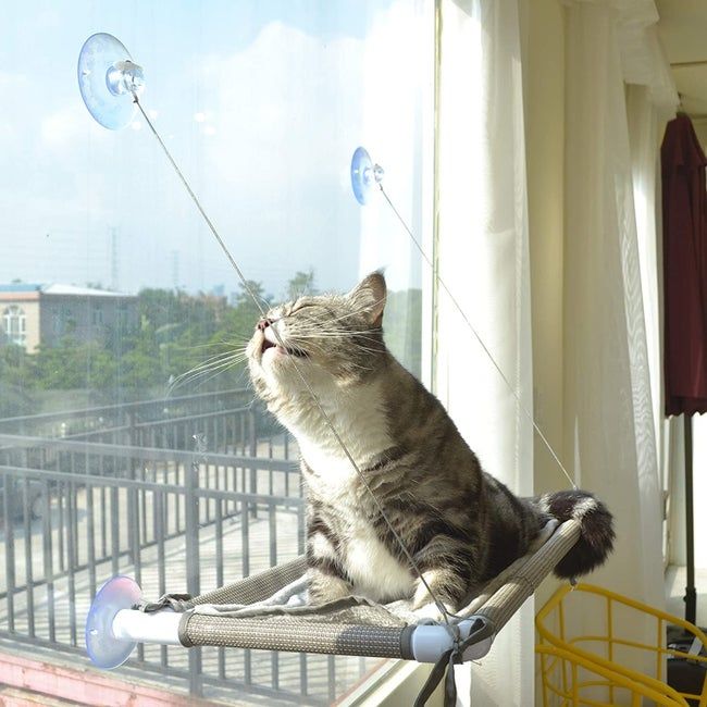 A cat relaxing in a hammock that's suction-cupped to the window.