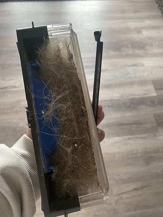 A reviewer displays the hair cleaned by the vacuum.
