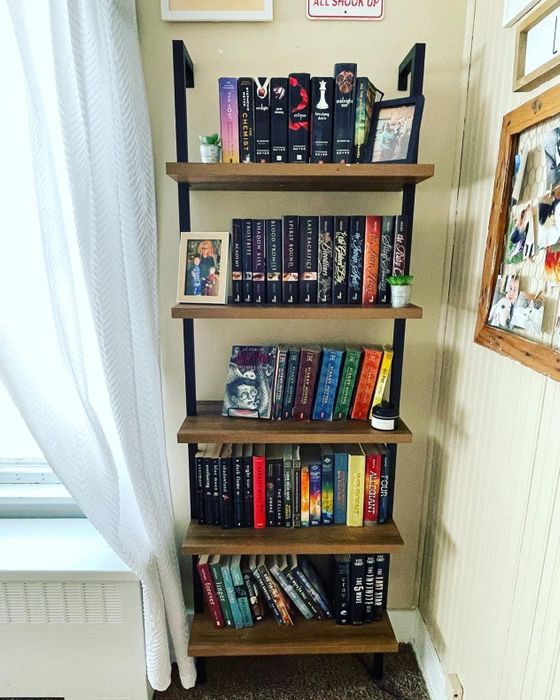 A reviewer's bookshelf packed with an assortment of book series