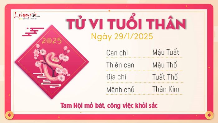 Tử vi hàng ngày 29/1/2025 tuổi Thân