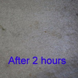 reviewer's photo showing the stain fading after two hours of treatment with the pad