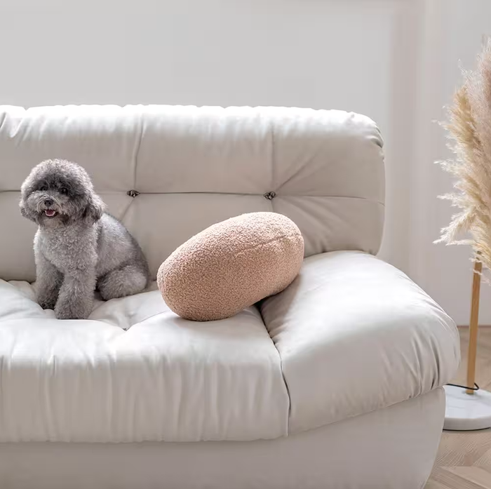 A fluffy dog relaxes on a tufted couch beside a textured cushion, with pampas grass adding a touch of natural decor, creating a warm and inviting atmosphere.
