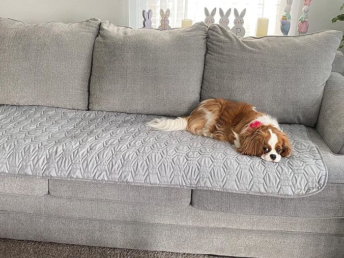 The reviewer’s dog rests comfortably on a gray sofa cover, enjoying its cozy spot.