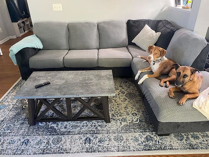 Gray sectional draped in slipcovers, with dogs enjoying the sofas