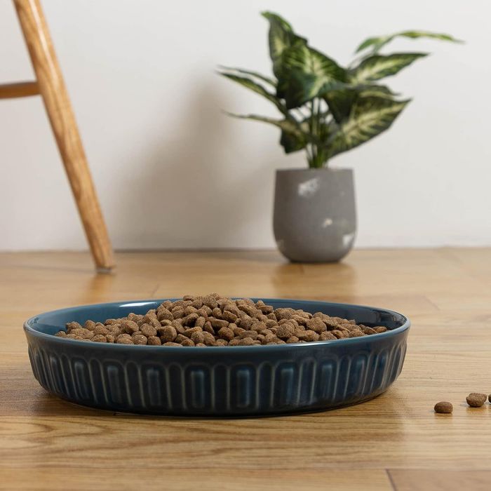 A shallow ceramic dog food bowl, beautifully designed for both function and style.