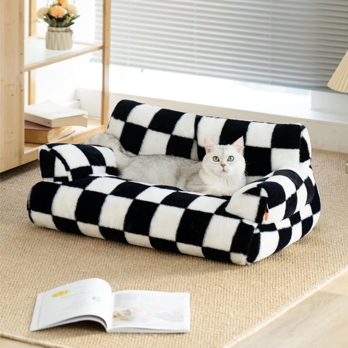 A cat lounging on a checkerboard-patterned pet sofa in a minimalist living room, with an open magazine on the floor nearby