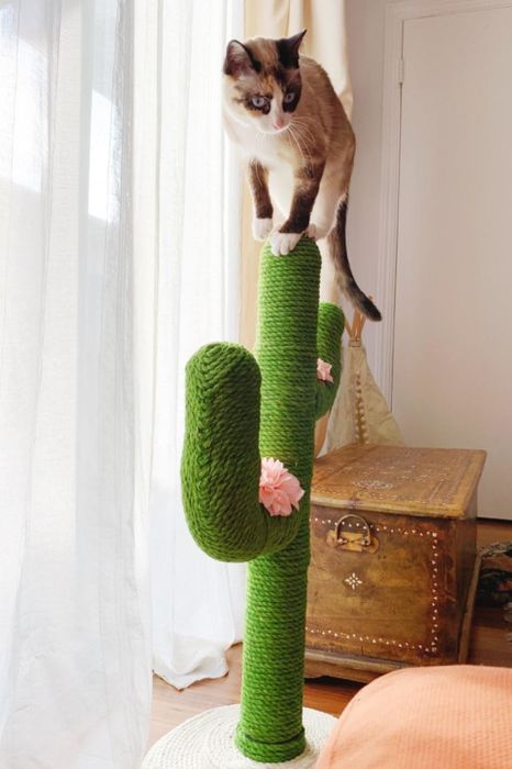 Another reviewer’s cat happily exploring the cactus scratching post.
