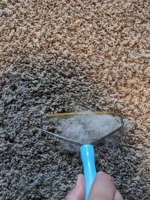 Dust and hair being gathered with a lint remover on a textured carpet