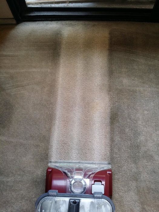 reviewer photo of a carpet being cleaned with a vacuum, showing a significantly lighter color underneath