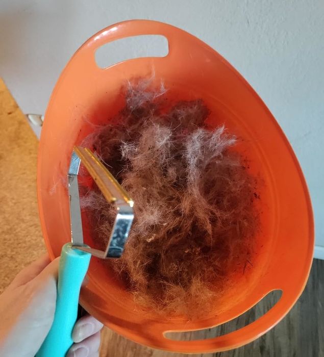 Person holding a lint remover over a trash bin filled with collected pet hair, showcasing its cleaning effectiveness