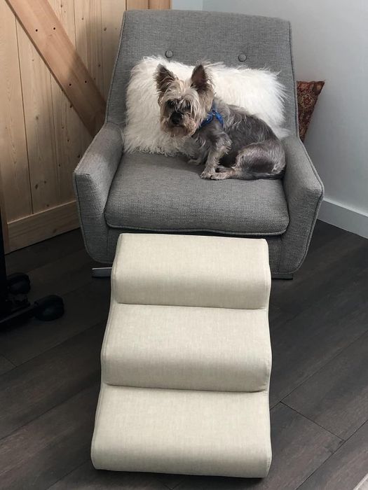 The reviewer’s dog comfortably sits on an armchair, with a set of doggie stairs nearby for easy climbing.