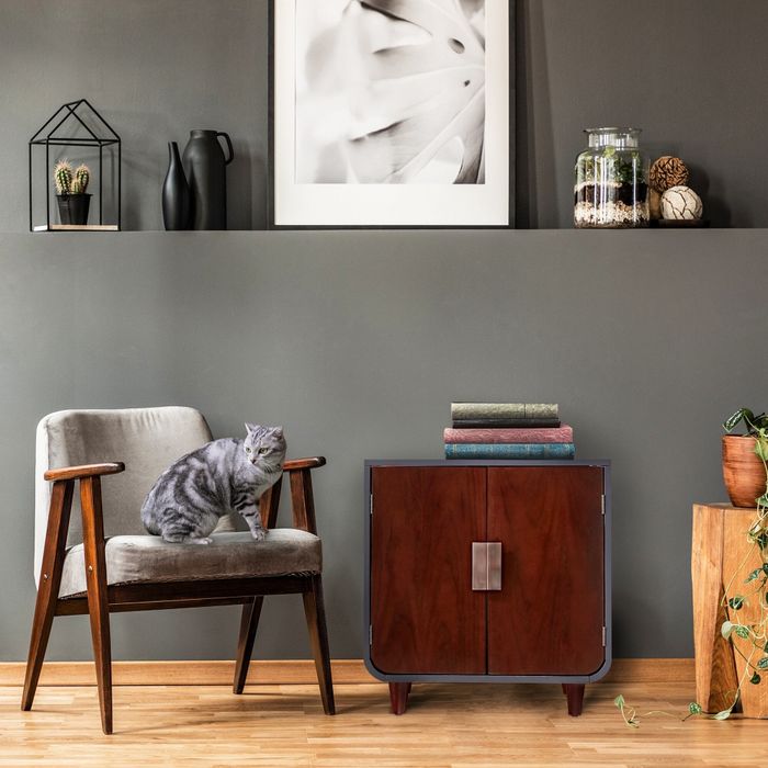 The hidden litter box enclosure, which doubles as a nightstand-sized piece of furniture.