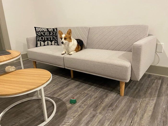 A corgi lounges comfortably on a light gray sofa