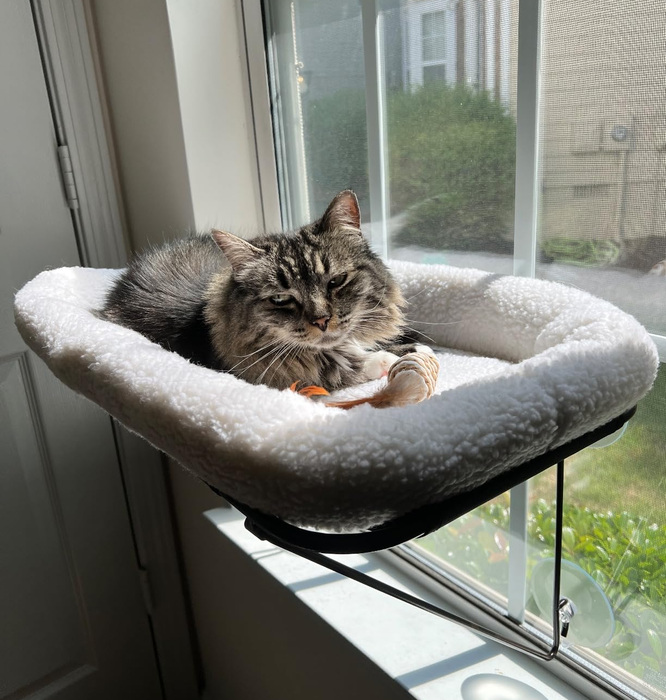 A cat relaxes in a cozy white bed attached to a sunny window, enjoying the warmth.
