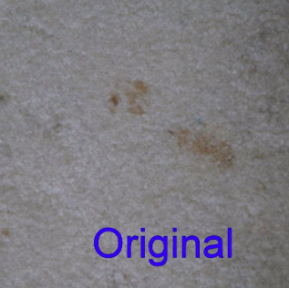 reviewer photo of a brown pet stain on a beige carpet