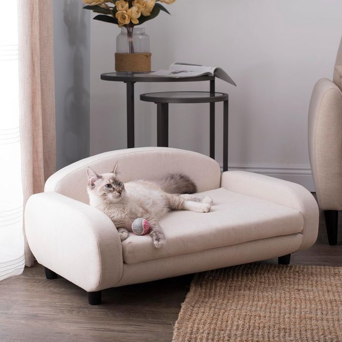 A cat lounging on a white sofa bed