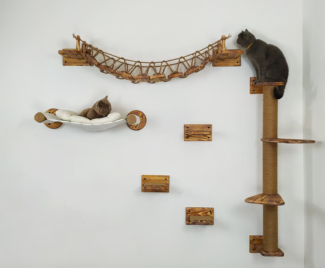 Two cats enjoying their time on wall-mounted hammocks, ladders, and shelves.