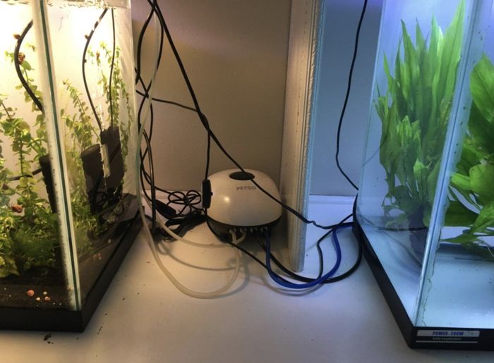 disordered cords near a fish tank