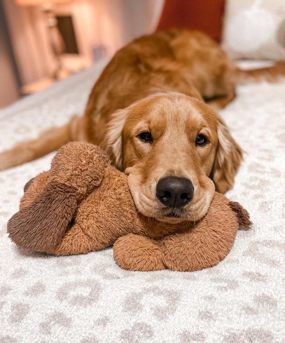 Another reviewer’s Golden Retriever resting its head on the snuggle puppy stuffed toy while lying on a rug