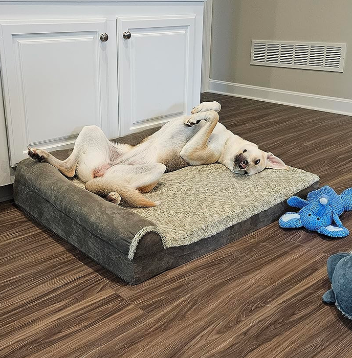 A reviewer’s dog resting on its back comfortably on the bed