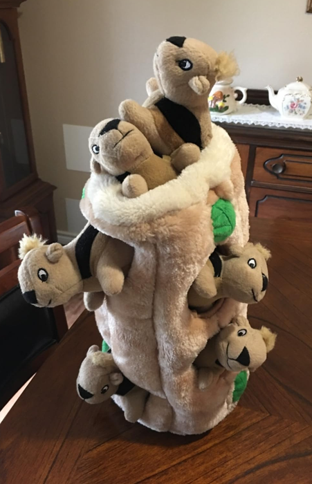 A review photo showing the plush interactive toy with various stuffed squirrels stacked vertically inside