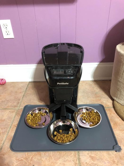 The PetSafe automatic pet feeder dispenses dry food into three stainless steel bowls, all resting on a silicone non-slip mat