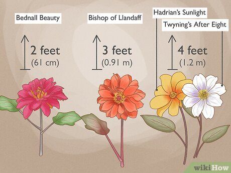 The FinaMill spice grinder, equipped with two pods of spices, offering both convenience and versatility for seasoning your dishes.